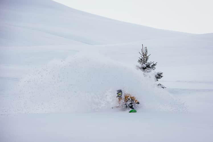Pic: Dominic Zimmermann